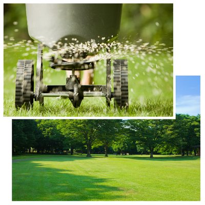 Lawn Care Minnesota